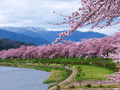 If you miss these tourist attractions in Japan, it will be a pity