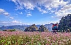 Ha Giang