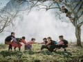 Plum flowers bloom "white sky" as beautiful as a fairy in Moc Chau